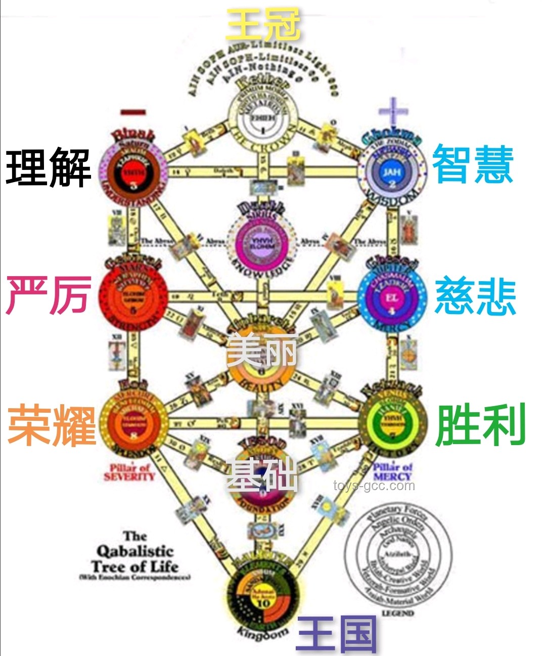 出逃卡皮巴拉与归家豆包：体重变化的对比分析